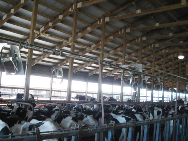 dairy software